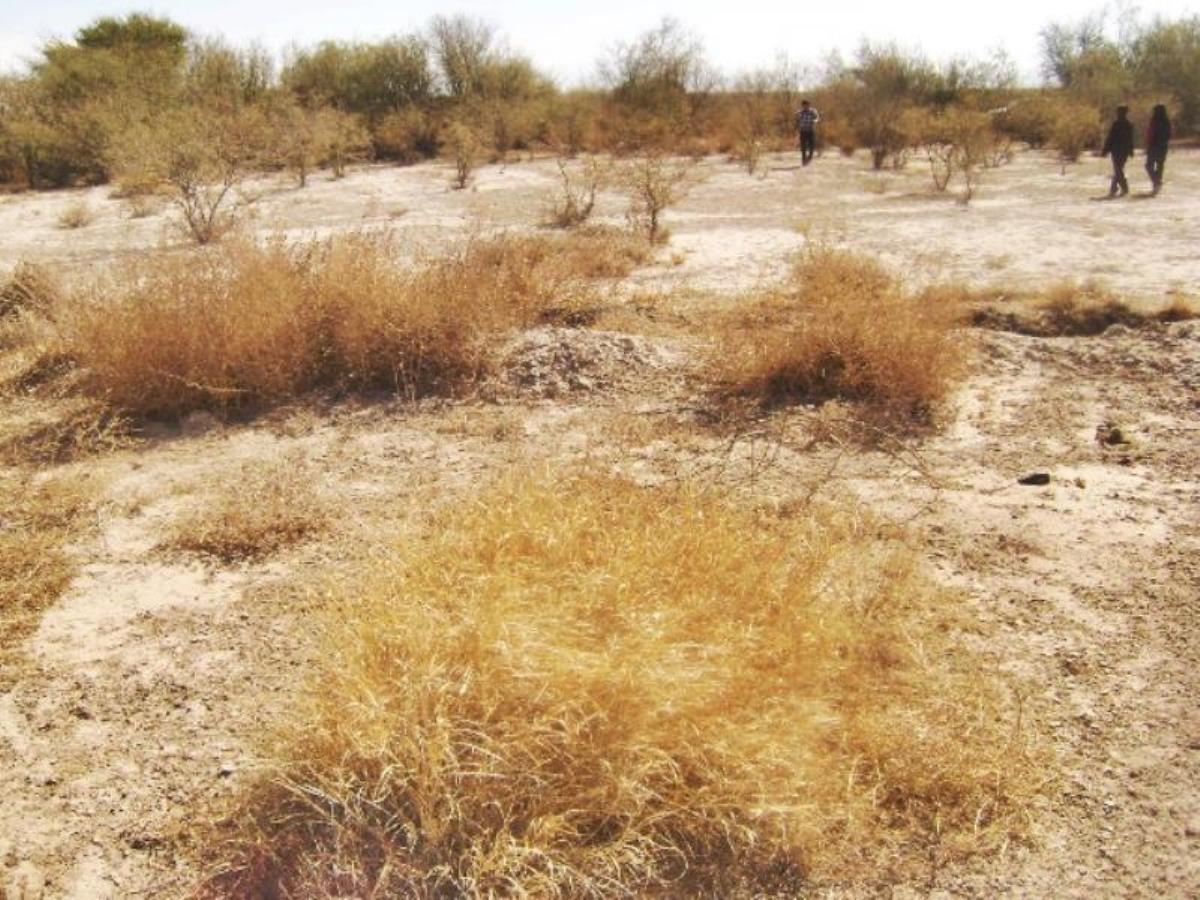 Terreno en Venta en El Cambio, Matamoros, Coahuila de Zaragoza Terreno en Venta en El Cambio, Matamoros, Coahuila de Zaragoza