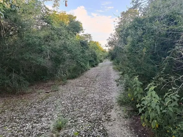 Terreno en venta en Dzibilchaltún, Mérida — foto 2 de 5