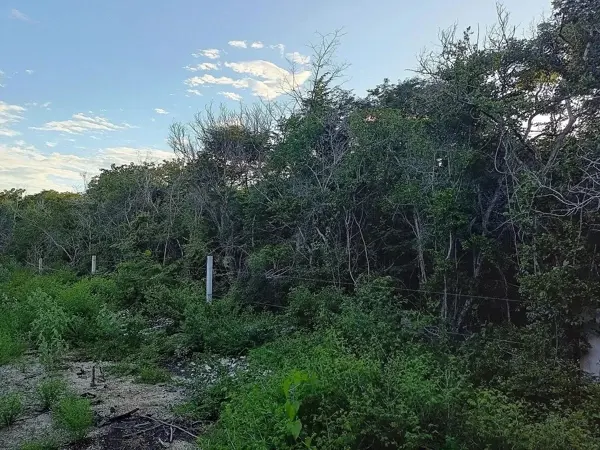 Terreno en venta en Dzibilchaltún, Mérida — foto 3 de 5