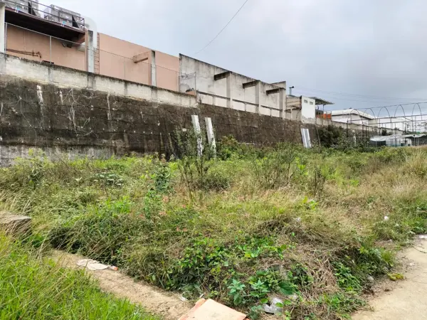 Terreno en renta en Bugambilias, Emiliano Zapata — foto 2 de 4