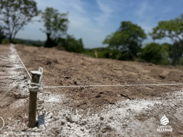 Terreno en venta en Guacamayas Comercial, Lázaro Cárdenas — foto 2 de 18