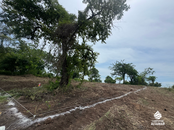 Terreno en venta en Guacamayas Comercial, Lázaro Cárdenas — foto 3 de 18