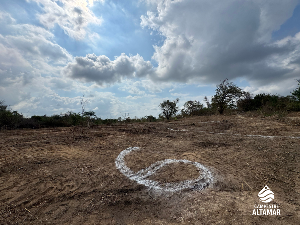 Terreno en venta en Guacamayas Comercial, Lázaro Cárdenas — foto 1 de 12