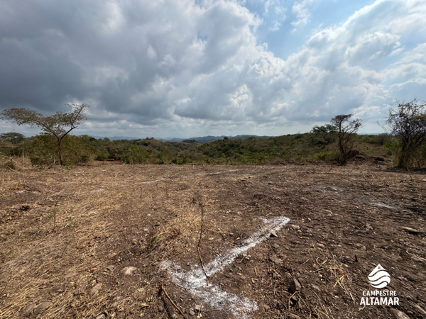 Terreno en venta en Guacamayas Comercial, Lázaro Cárdenas — foto 2 de 12