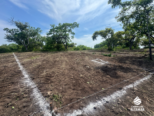Terreno en venta en Guacamayas Comercial, Lázaro Cárdenas — foto 3 de 12