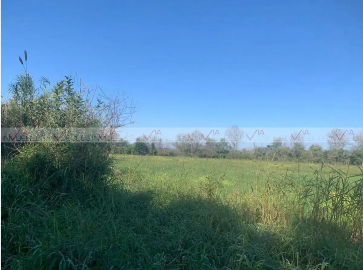 Terreno en venta en La Arena, Pesquería — foto 1 de 8