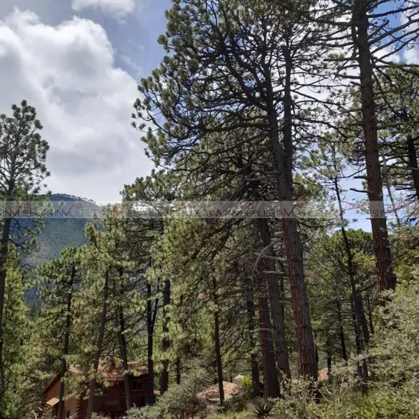 Terreno en venta en Mesa de las Tablas, Arteaga — foto 3 de 9