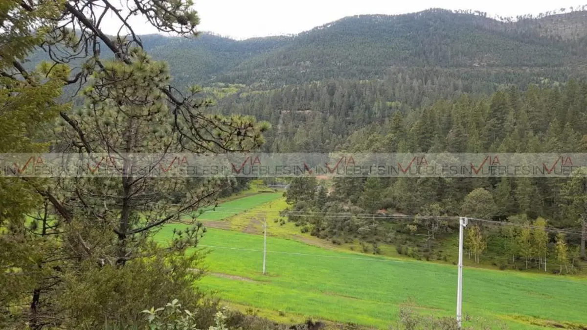 Terreno en venta en Mesa de las Tablas, Arteaga — foto 1 de 9