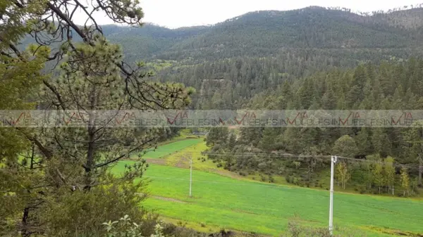 Bosques de Monterreal
