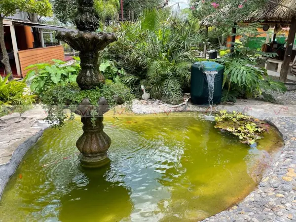 Casa en venta en Montemorelos Centro, Montemorelos — foto 2 de 8