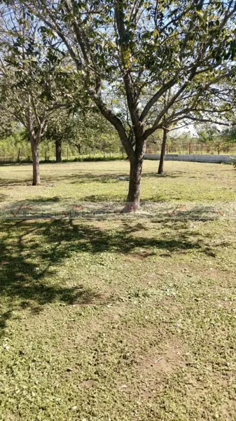 Casa en venta en El Sendero, Sabinas Hidalgo — foto 3 de 12