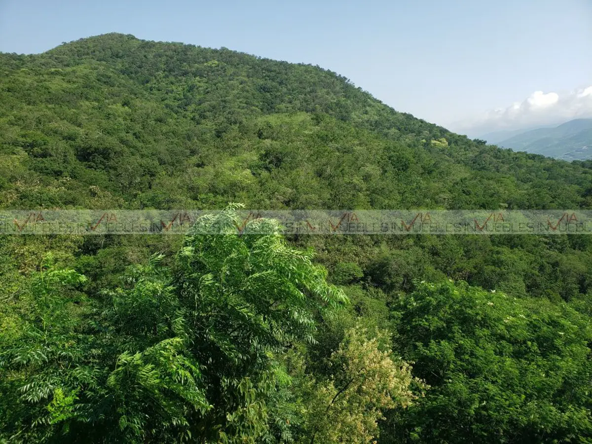 Casa en venta en Huajuquito o los Cavazos, Santiago — foto 1 de 13