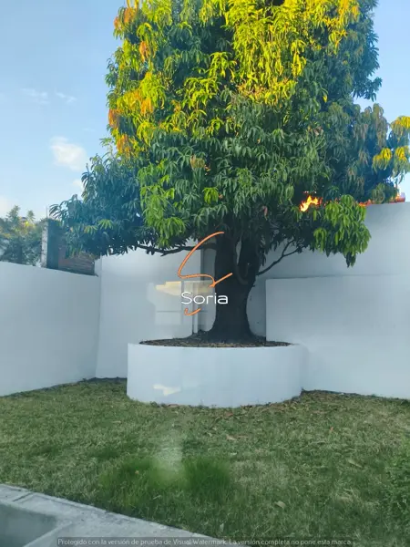 Casa en renta en Otilio Montaño, Cuautla — foto 3 de 11