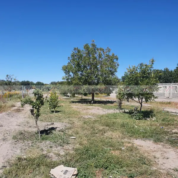 Terreno en venta en Del Perico, Parras — foto 2 de 10