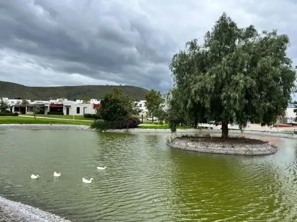 Casa en venta en Adamar, Tlajomulco de Zúñiga — foto 2 de 6