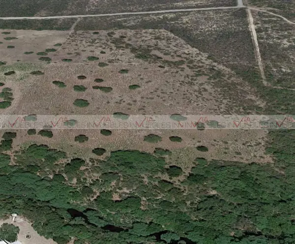 Terreno en venta en Centro de Pesquería, Pesquería — foto 3 de 5
