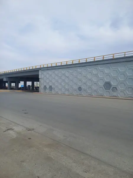 Terreno en renta en Nueva Laguna Norte, Torreón — foto 3 de 3