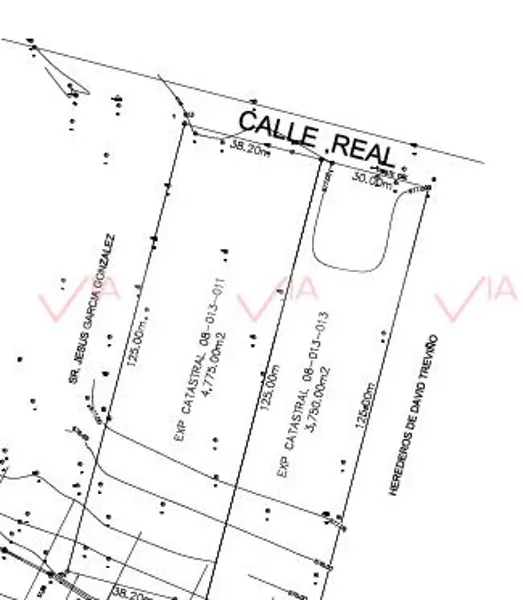 Terreno en venta en Centro de Pesquería, Pesquería — foto 2 de 12