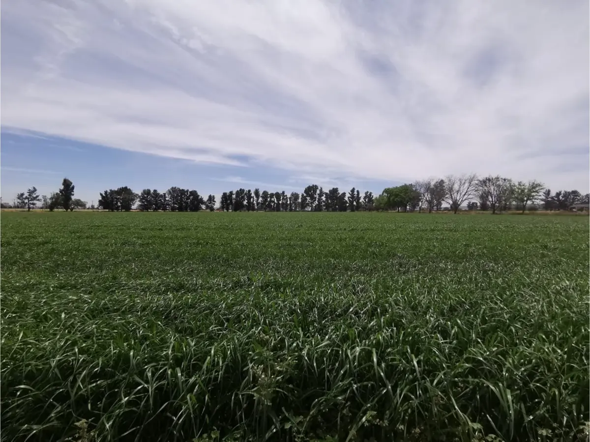 Terreno en venta en Bosques de Pabellón, Pabellón de Arteaga — foto 1 de 4