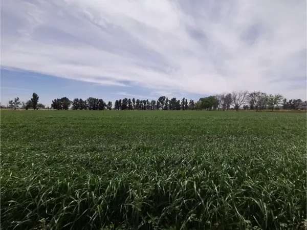 Terreno en Venta Pabellon de Arteaga Aguascalientes