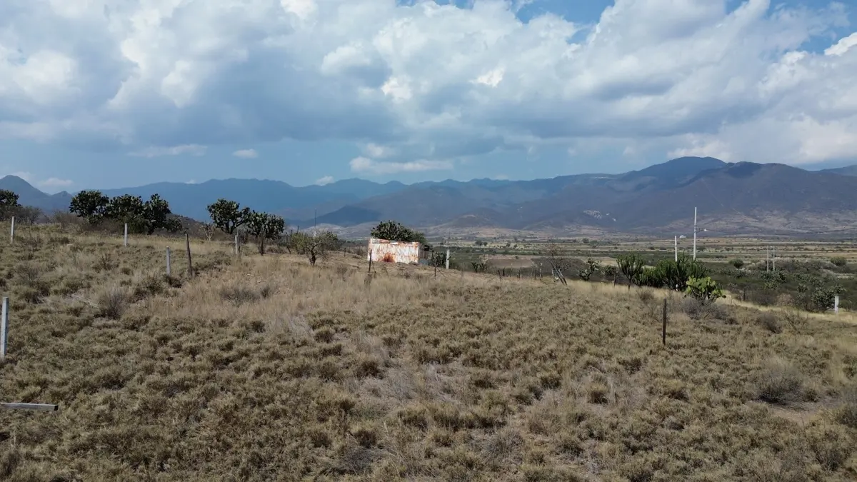 Terreno en venta en Yasip, Tlacolula de Matamoros — foto 1 de 7