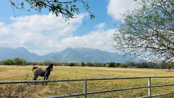 Finca-Rancho en venta en Las Norias, Cadereyta Jiménez — foto 2 de 15
