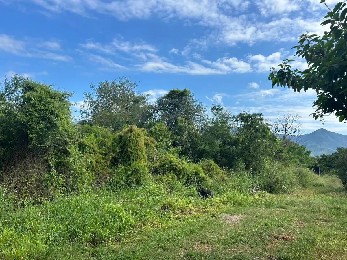 Terreno en venta en Huajuquito o los Cavazos, Santiago — foto 1 de 2