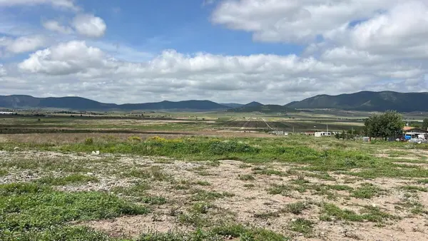 Terreno en venta en San Antonio de las Alazanas, Arteaga — foto 3 de 15