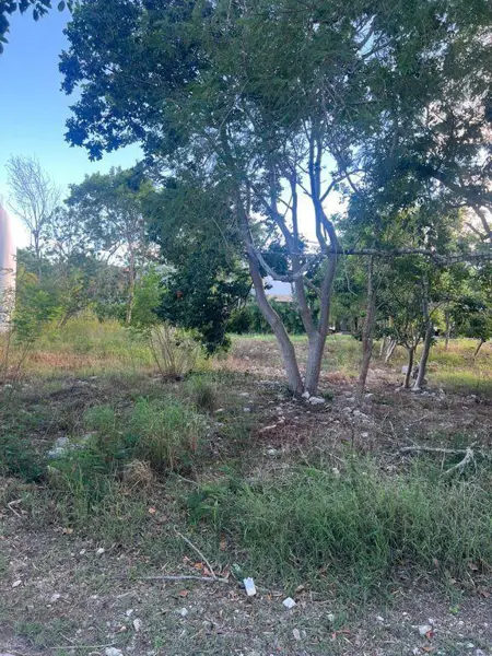 Terreno en venta en Sin colonia, Mérida — foto 2 de 18