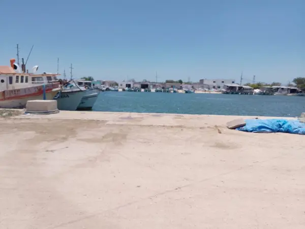 Edificio en venta en Celestun, Celestún — foto 2 de 27