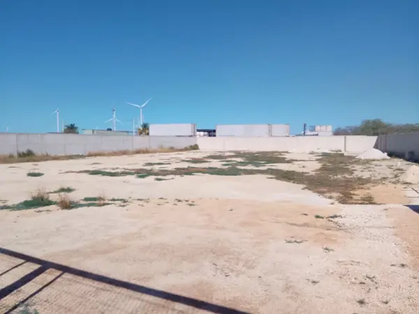 Terreno en renta en Campestre Flamboyanes, Progreso — foto 3 de 11