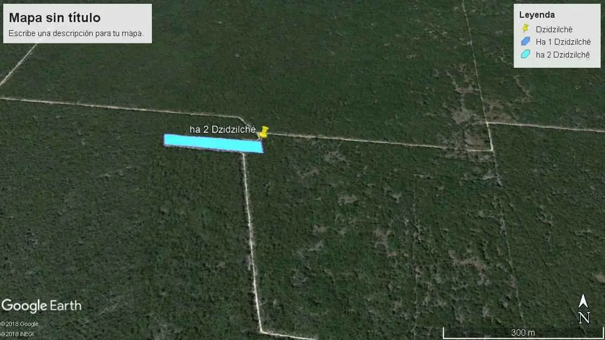 Terreno en venta en Dzidzilche, Mérida — foto 1 de 2