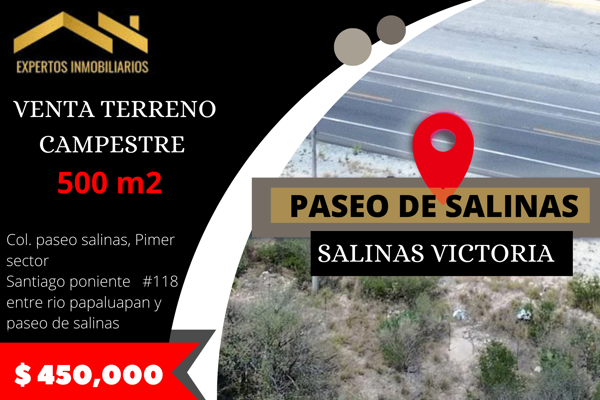 VENTA DE TERRENO CAMPESTRE EN PASEO SALINAS, EN SALINAS VICTORIA