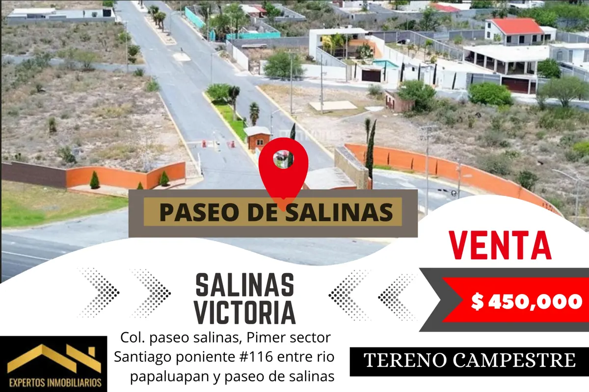 Terreno en venta en Paseo Santa Isabel, Salinas Victoria — foto 1 de 9