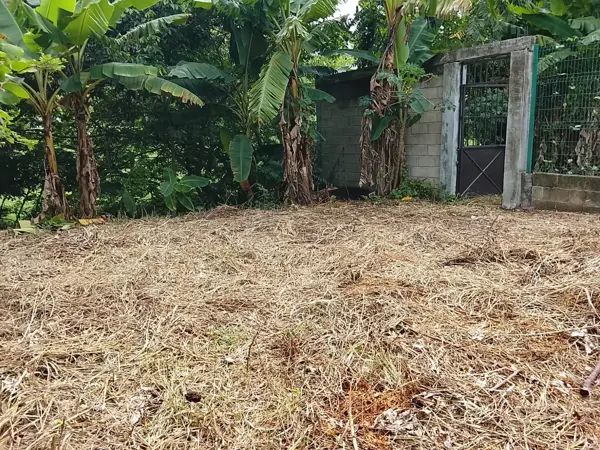 Terreno en venta en El Cedro, Nacajuca — foto 3 de 4