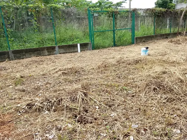 Terreno en venta en El Cedro, Nacajuca — foto 2 de 4