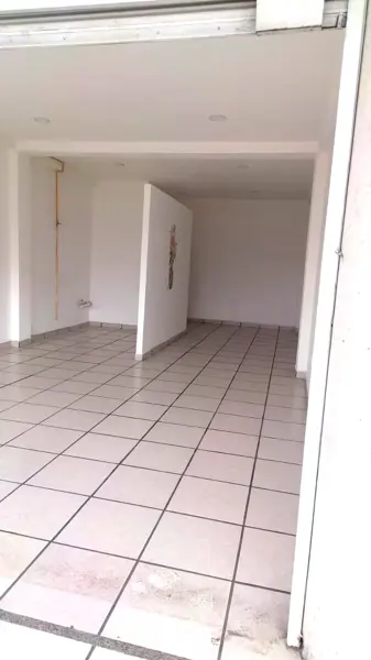 Local en renta en Los Dicios, San Martín Texmelucan — foto 2 de 8