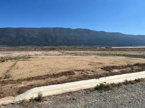 Terreno en venta en San Antonio de las Alazanas, Arteaga — foto 2 de 12