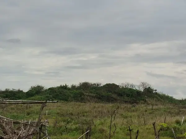 Terreno en venta en Anton Lizardo, Alvarado — foto 3 de 5