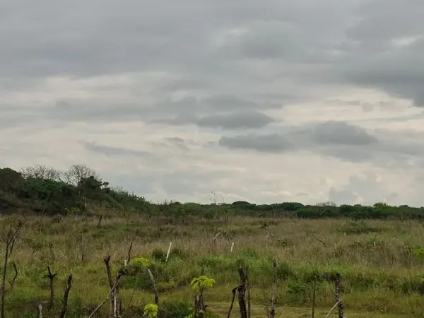 Terreno en venta en Anton Lizardo, Alvarado — foto 2 de 5