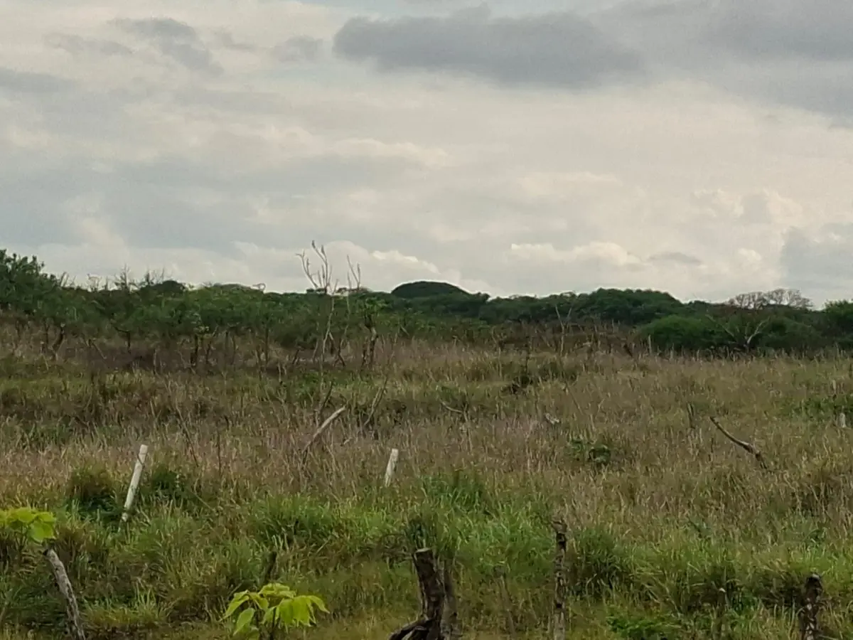 Terreno en venta en Anton Lizardo, Alvarado — foto 1 de 5