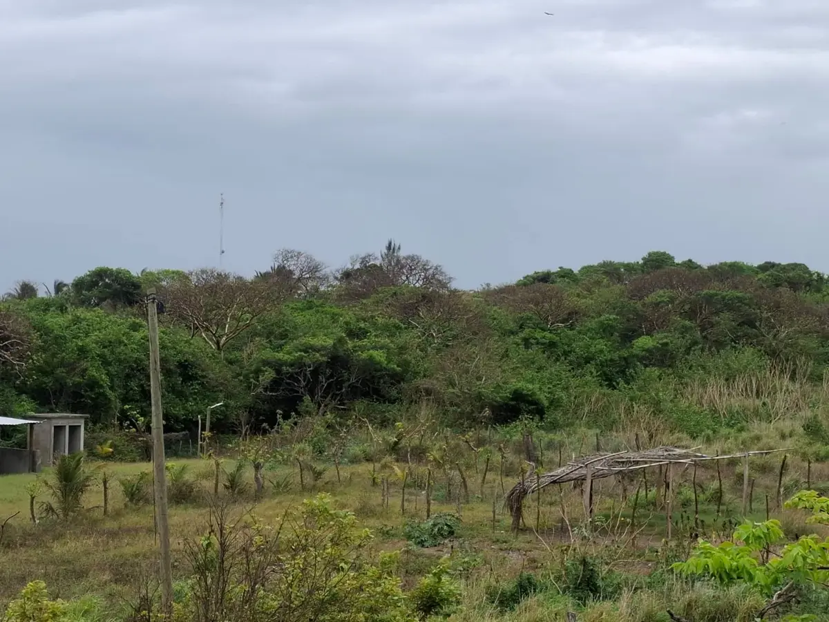 Terreno en venta en Anton Lizardo, Alvarado — foto 1 de 5