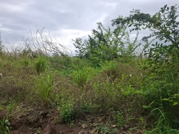 Terreno en venta en Anton Lizardo, Alvarado — foto 3 de 5