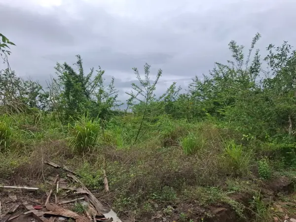 Terreno en venta en Anton Lizardo, Alvarado — foto 2 de 5