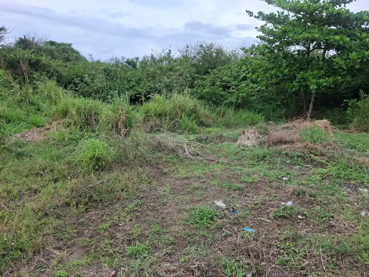 Terreno en venta en Anton Lizardo, Alvarado — foto 1 de 8