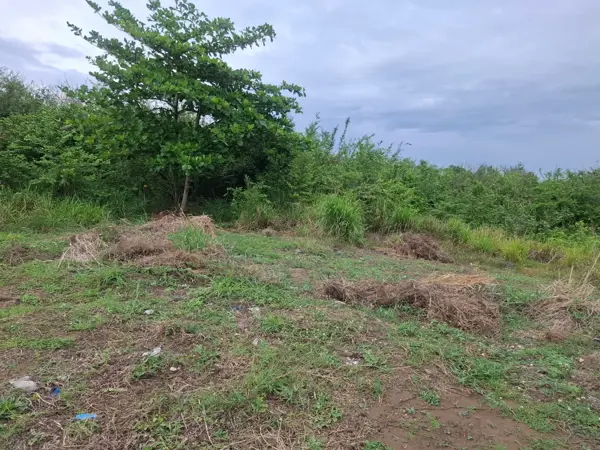 Terreno en venta en Anton Lizardo, Alvarado — foto 2 de 8