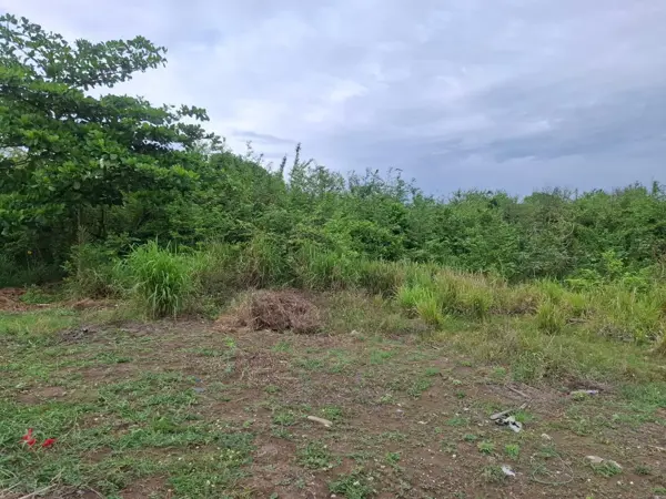 Terreno en venta en Anton Lizardo, Alvarado — foto 3 de 8