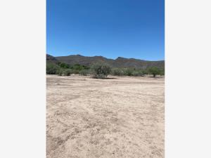Terreno en venta en Ciudad Juárez, Lerdo — foto 2 de 4