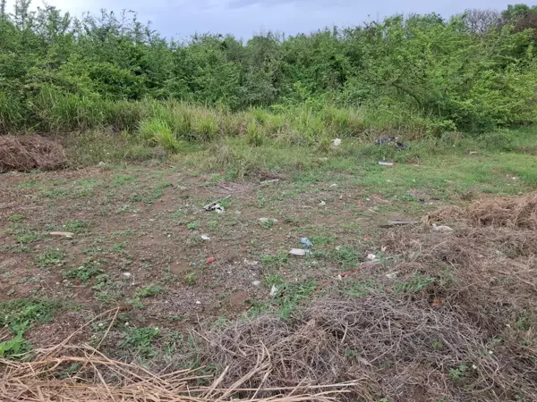 Terreno en venta en Anton Lizardo, Alvarado — foto 3 de 10