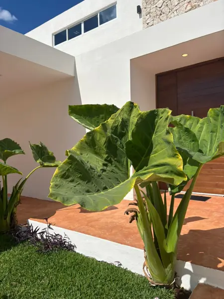 Casa en venta en Cholul, Mérida — foto 2 de 17